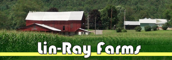 Lin-Ray Farms Carries DeSite Topsoil Screeners